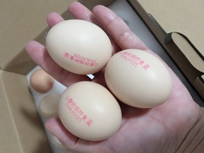 浏览全球网络，您还能找到比这个更全面的鸡蛋喷码机解决方案吗？