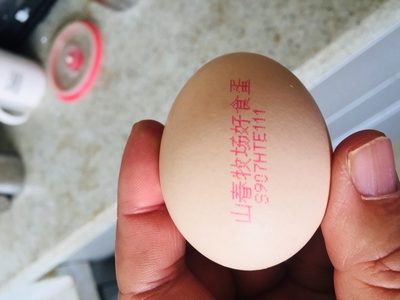 浏览全球网络，您还能找到比这个更全面的鸡蛋喷码机解决方案吗？
